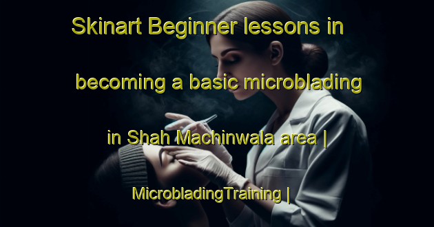 Skinart Beginner lessons in becoming a basic microblading in Shah Machinwala area | MicrobladingTraining | MicrobladingClasses | SkinartTraining-Pakistan